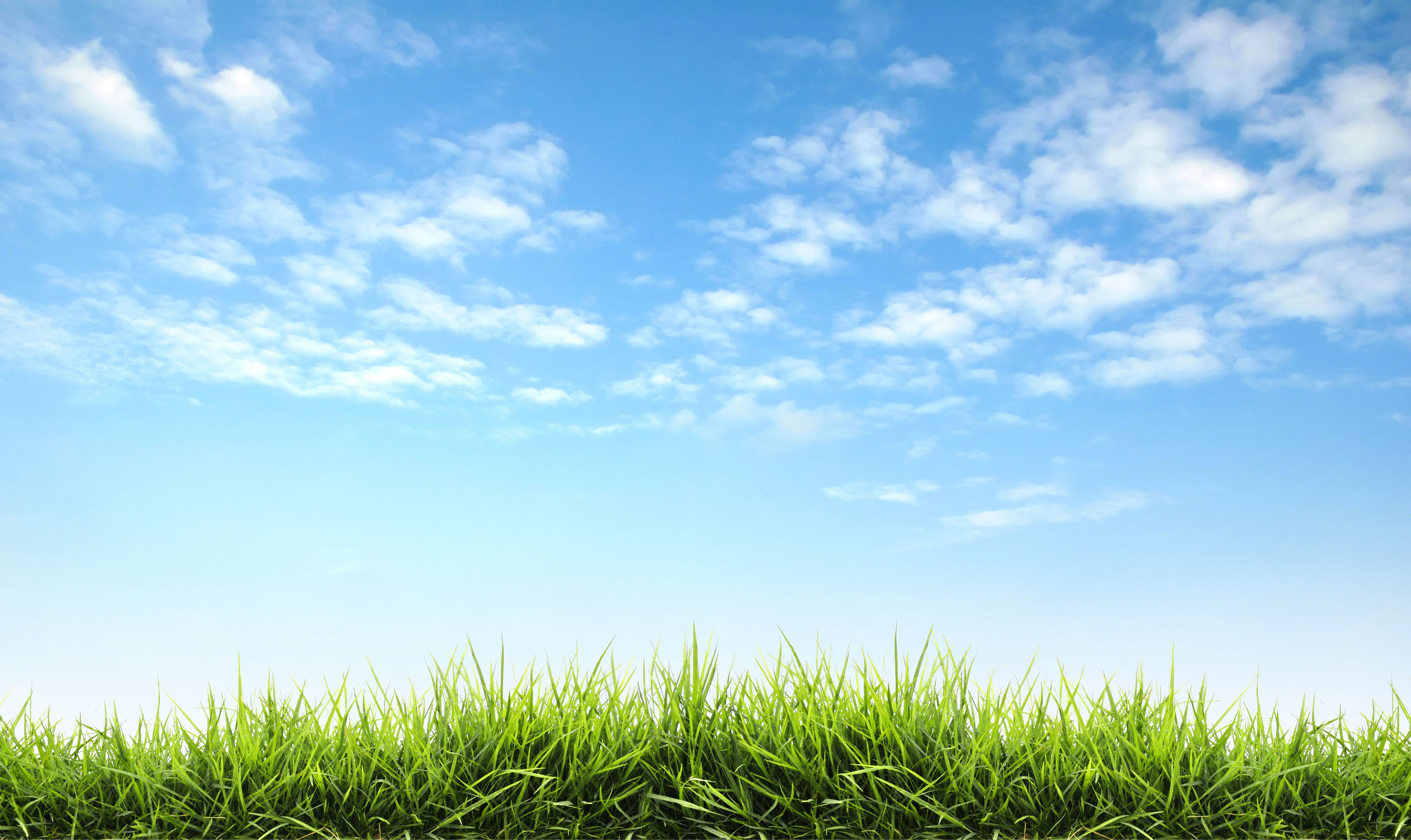 Blue sky with scattered white clouds above a row of green grass, bright daylight scene